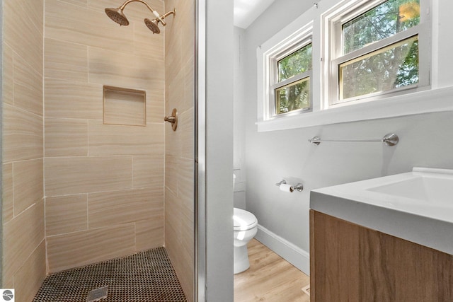 224 Saint Marys St, Suttons Bay, MI 49682 - bathroom featuring vanity, wood finished floors, baseboards, a stall shower, and toilet