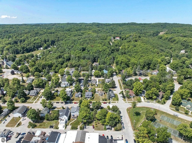 224 Saint Marys St, Suttons Bay, MI 49682 - bird's eye view featuring a forest view
