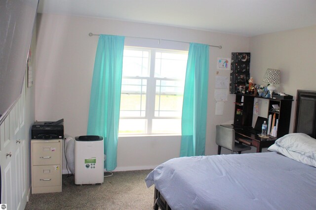 carpeted bedroom featuring multiple windows