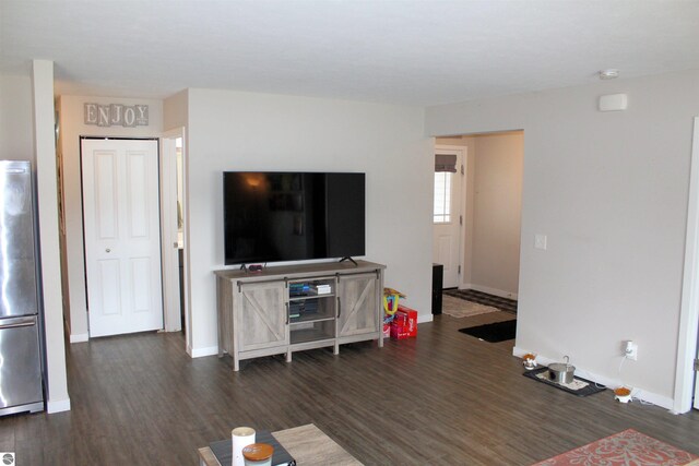 living room featuring dark hardwood / wood-style flooring