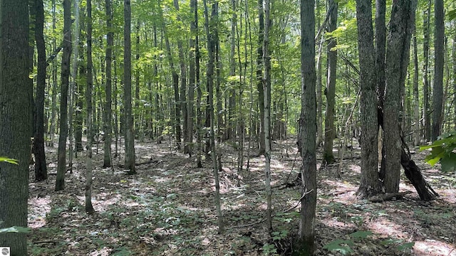 LOT437 Northwood Dr, Elmira, MI 49730