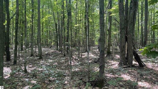 LOT437 Northwood Dr, Elmira, MI 49730