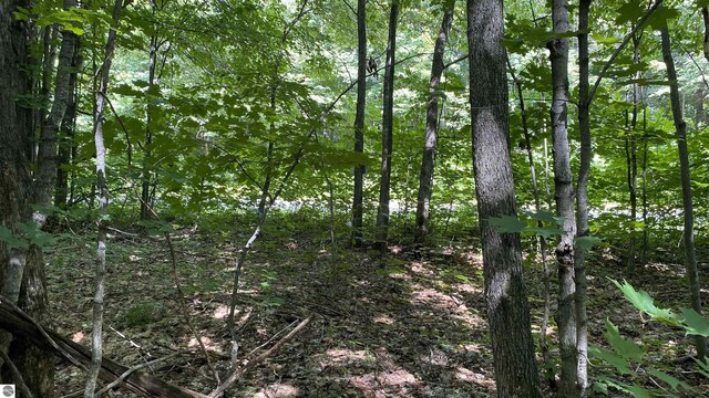 LOT437 Northwood Dr, Elmira, MI 49730