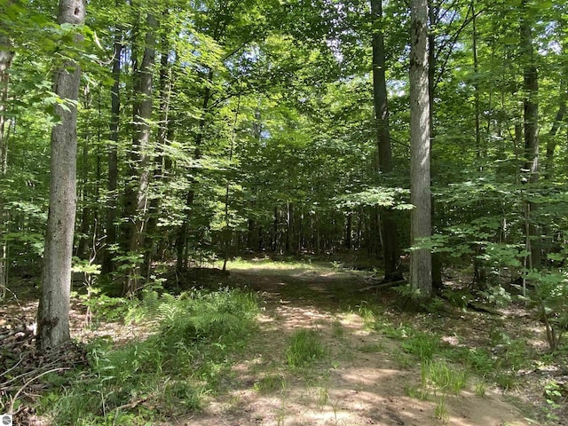 Demerly Rd, Benzonia MI, 49616 land for sale