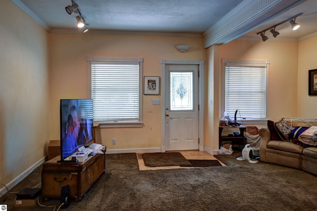 foyer entrance featuring crown molding, carpet flooring, and rail lighting