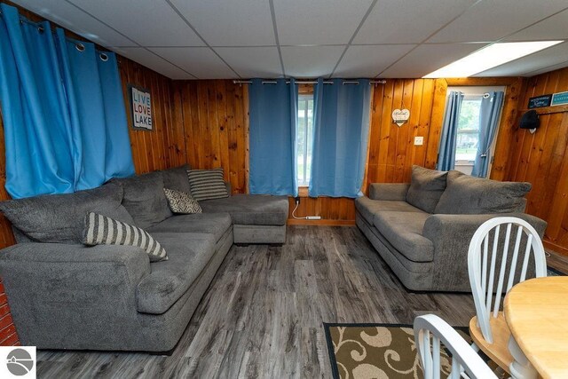 living room featuring dark wood-type flooring, wooden walls, and a drop ceiling