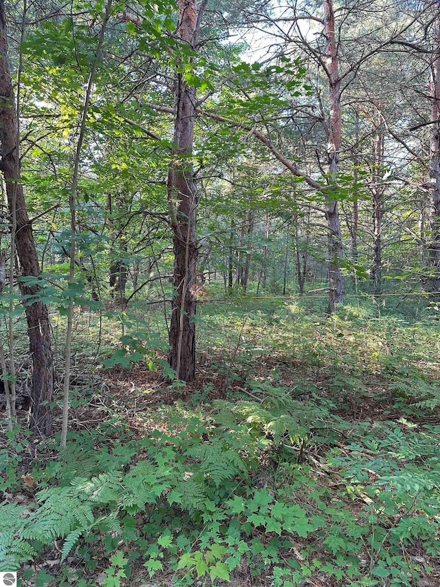 4487 US Highway 131, Kalkaska, MI 49646