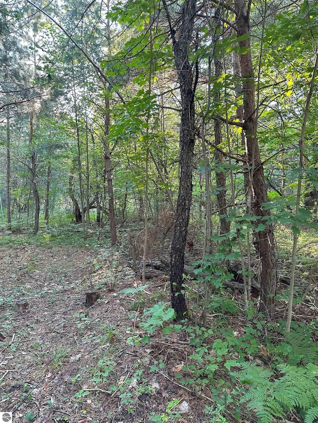 4487 US Highway 131, Kalkaska, MI 49646