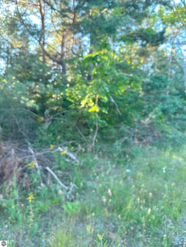 4487 US Highway 131, Kalkaska, MI 49646