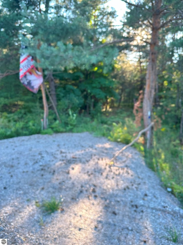 4487 US Highway 131, Kalkaska, MI 49646