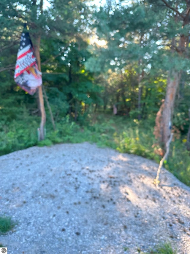 4487 US Highway 131, Kalkaska, MI 49646