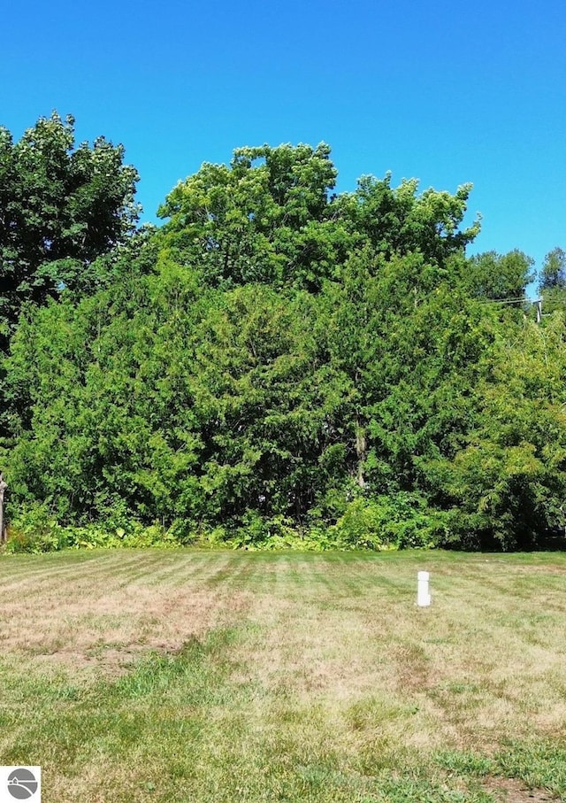 view of yard with a wooded view