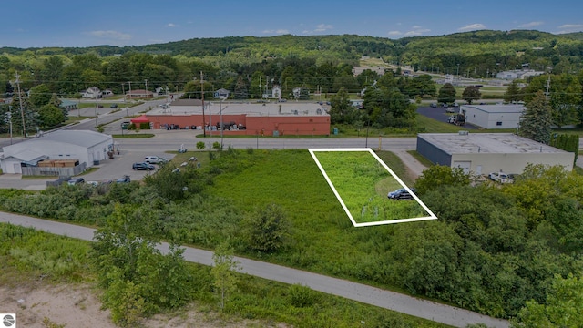 5 Main St Lot3 4, Frankfort MI, 49635 land for sale