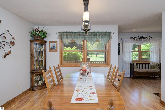 dining space with light hardwood / wood-style floors