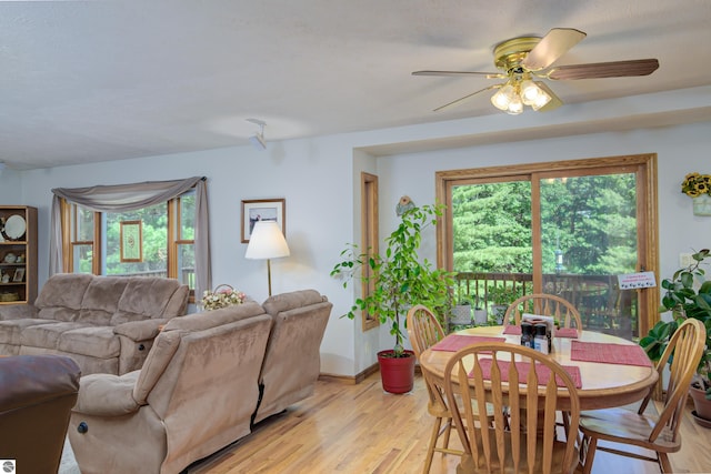 dining space featuring ceiling fan and light hardwood / wood-style flooring