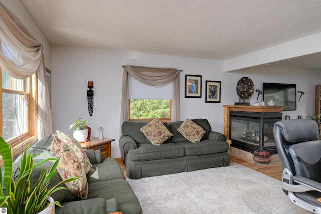 living room featuring light hardwood / wood-style floors and a textured ceiling