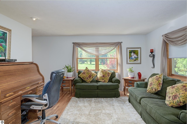 home office featuring light wood-type flooring