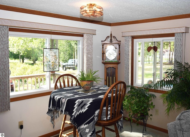 dining area featuring ornamental molding, a healthy amount of sunlight, and a textured ceiling