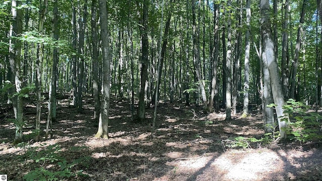 Listing photo 3 for LOT113 Forestgrove Ct, Elmira MI 49730