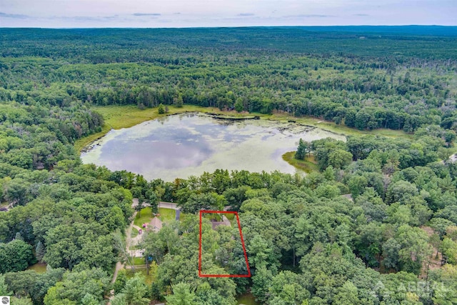 drone / aerial view featuring a forest view and a water view