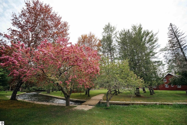 view of property's community with a yard