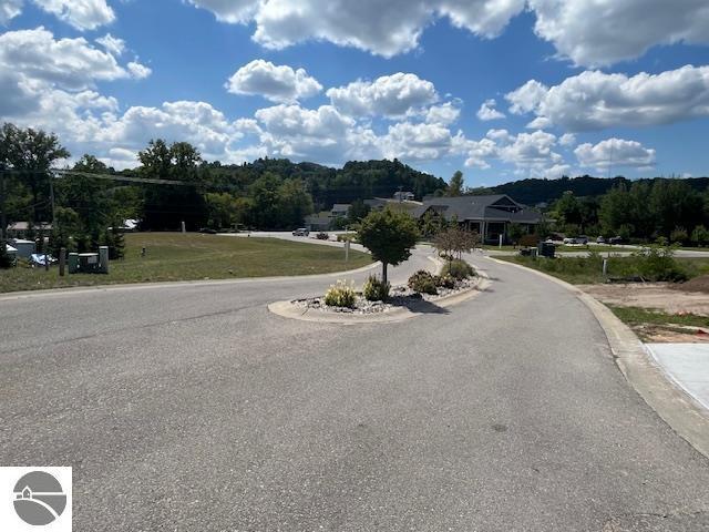 view of street featuring curbs