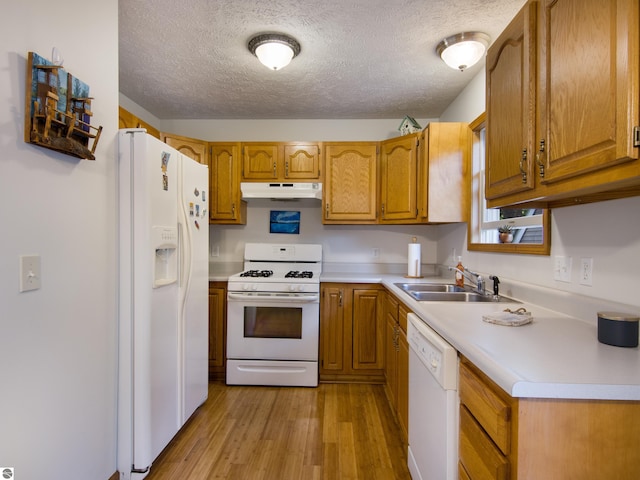 kitchen with white appliances, sink, a textured ceiling, and light wood-type flooring