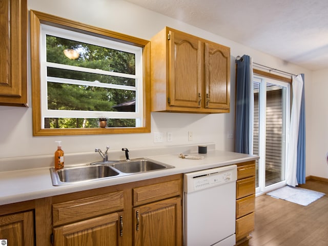 kitchen featuring white dishwasher, sink, and light wood-type flooring