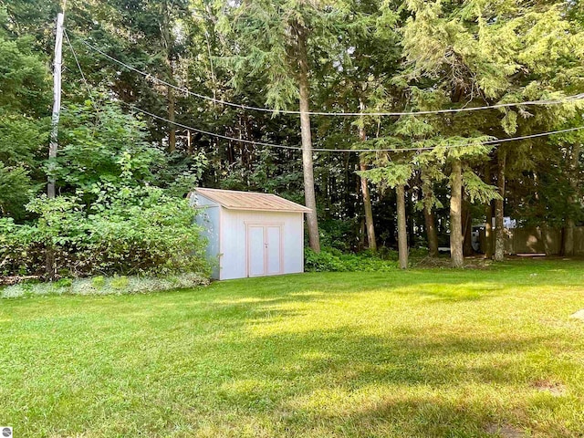 view of yard with a storage unit