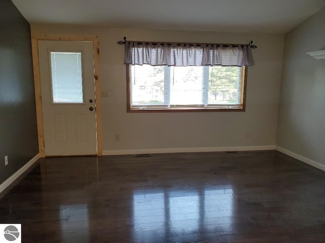 entrance foyer featuring dark hardwood / wood-style floors and a healthy amount of sunlight