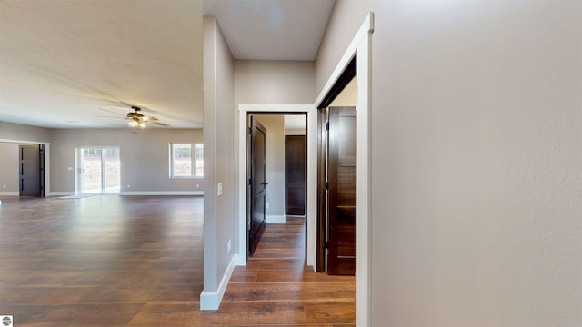 hall with dark hardwood / wood-style floors