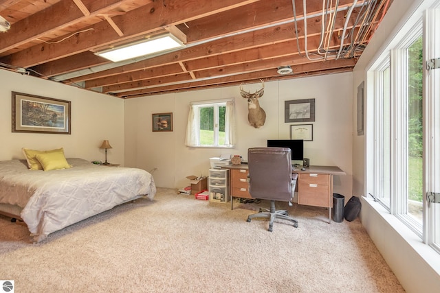 bedroom featuring carpet