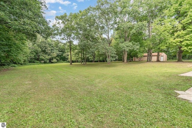 view of yard with a shed