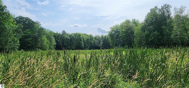 view of landscape