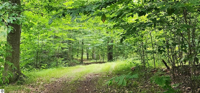 view of local wilderness