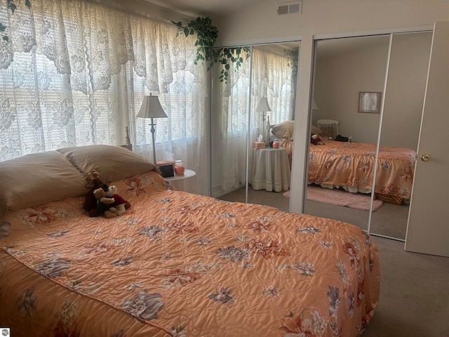 carpeted bedroom with vaulted ceiling and multiple closets