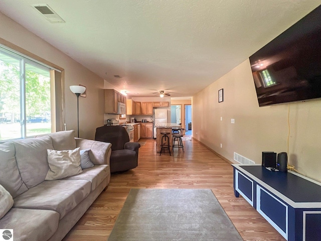 living room featuring light wood-type flooring