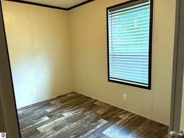 spare room featuring ornamental molding, dark wood-type flooring, and a wealth of natural light