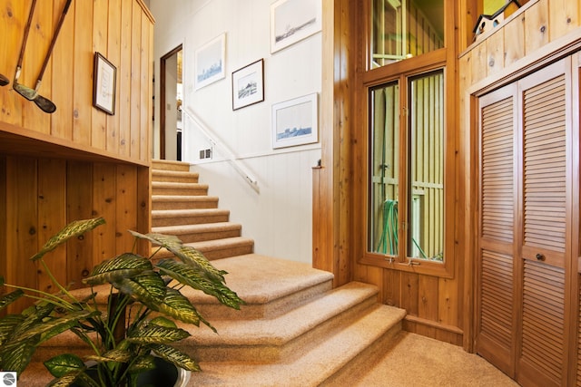 stairs featuring wooden walls