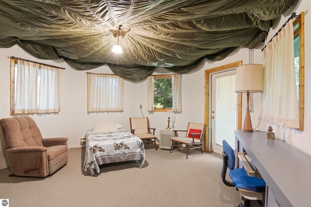 sitting room featuring carpet