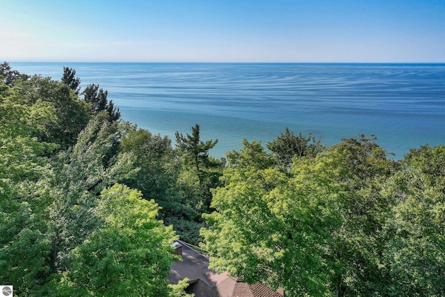 474 E Crystal Downs Dr, Frankfort, MI 49635 - water view