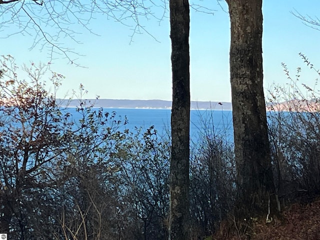 water view featuring a mountain view