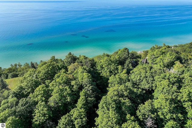 474 E Crystal Downs Dr, Frankfort, MI 49635 - drone / aerial view of a heavily wooded area and a nearby body of water