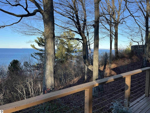 474 E Crystal Downs Dr, Frankfort, MI 49635 - water view