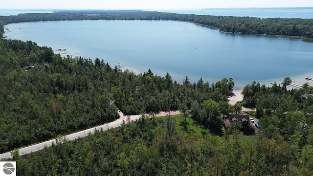 14222 Birch Pointe Dr, Kewadin MI, 49648 land for sale