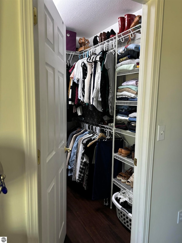 walk in closet with wood-type flooring