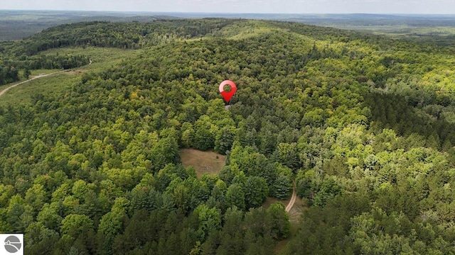 aerial view with a view of trees