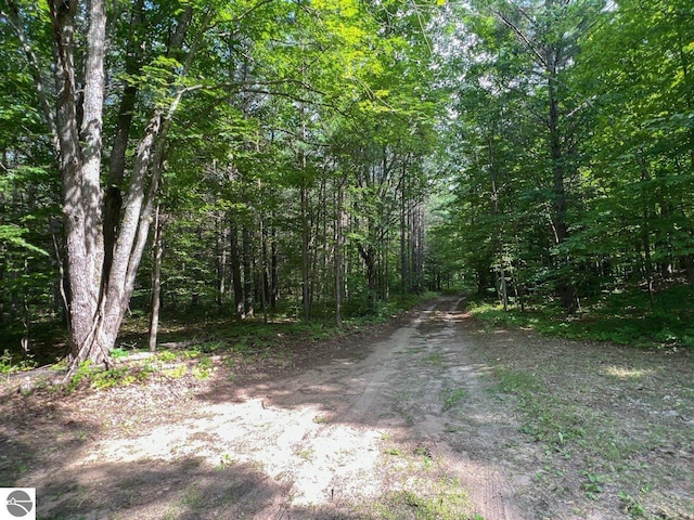 view of road with a view of trees