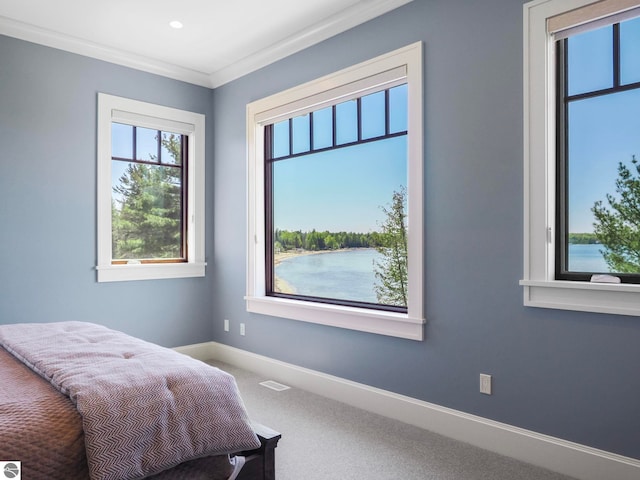 bedroom featuring carpet floors, a water view, and ornamental molding