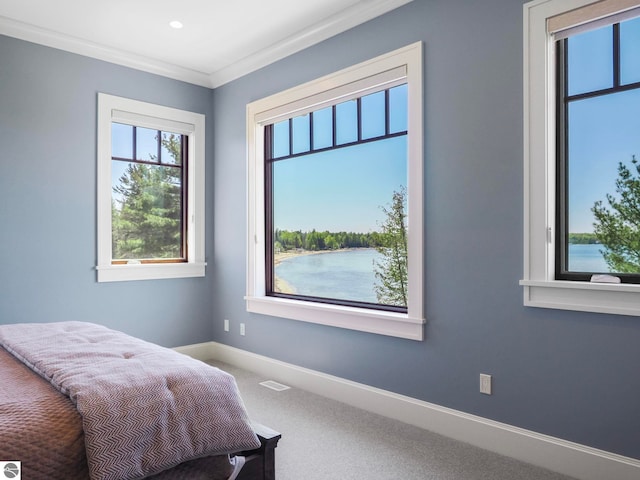 11305 Evergreen, Charlevoix, MI 49720 - bedroom with carpet floors, crown molding, and baseboards